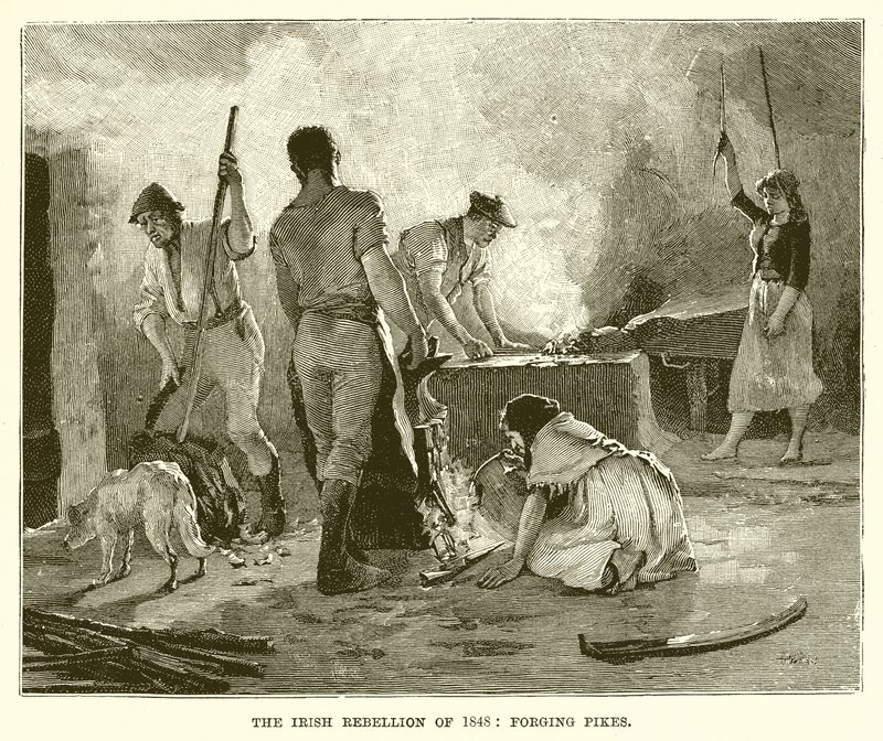 Irlannin kapina 1848: Haukien takominen tekijältä English School