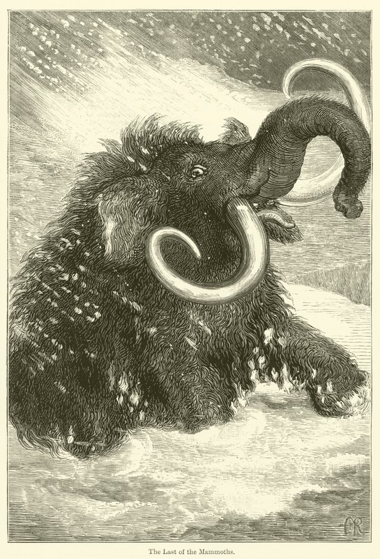 The Last of the Mammoths (kaiverrus) tekijältä English School