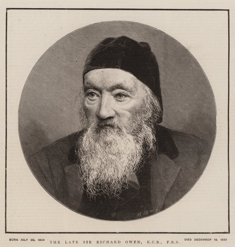 Edesmennyt Sir Richard Owen, KCB, FRS (kaiverrus) tekijältä English School