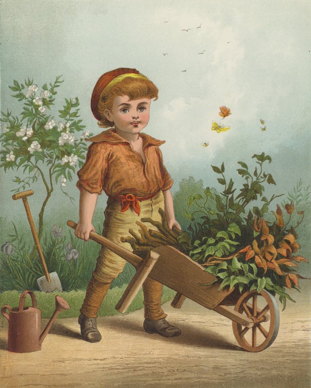 Pieni puutarhuri (chromolitho) tekijältä English School
