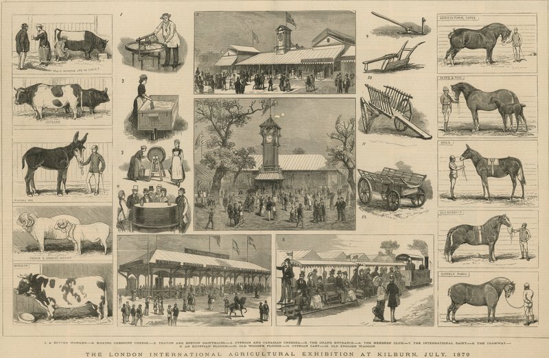 Lontoon kansainvälinen maatalousnäyttely Kilburnissa heinäkuussa 1879 tekijältä English School