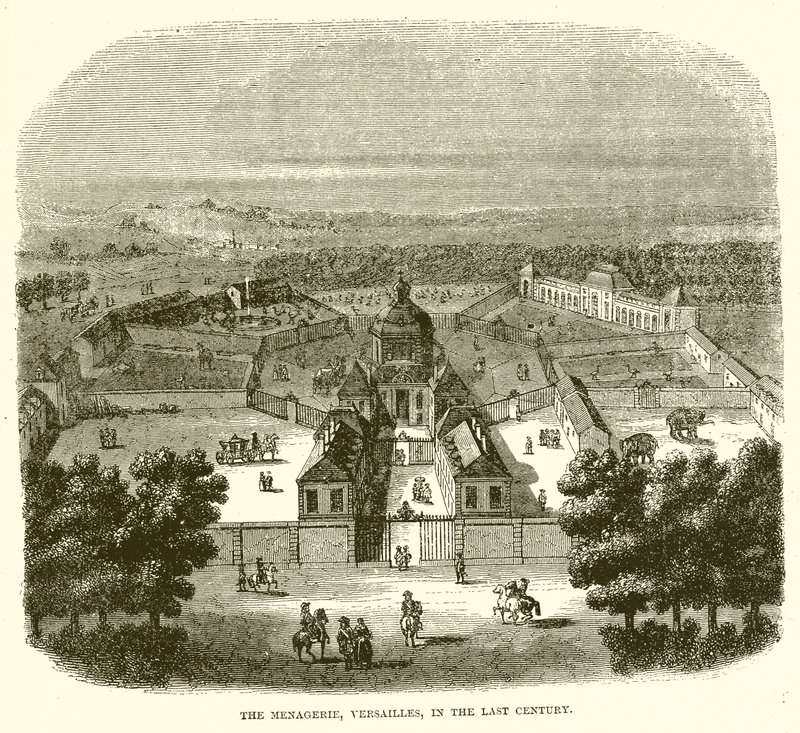 Menagerie, Versailles, viime vuosisadalla tekijältä English School