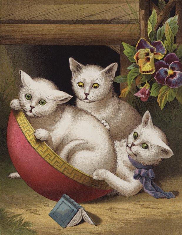 The Merry Kitten (chromolitho) tekijältä English School