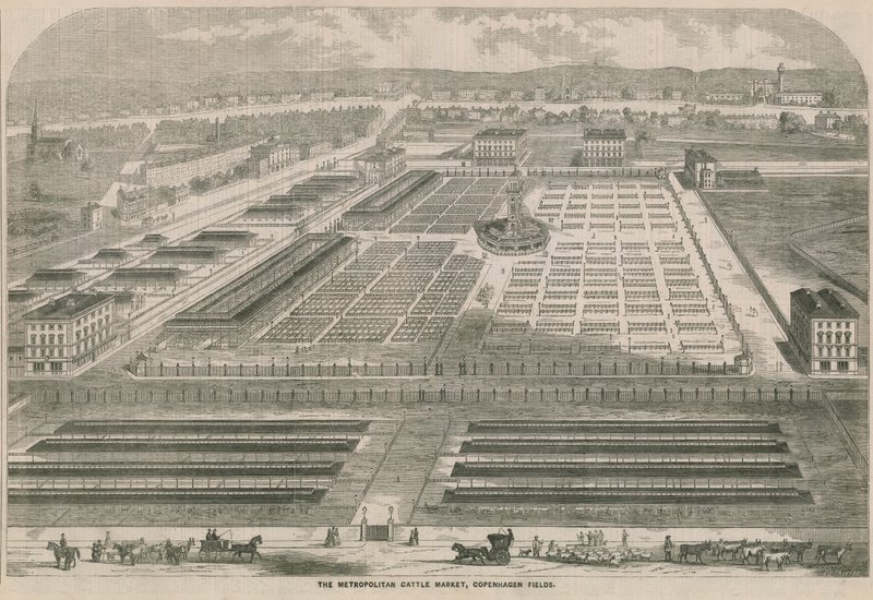 Metropolitan Cattle Market, Copenhagen Fields, Lontoo tekijältä English School