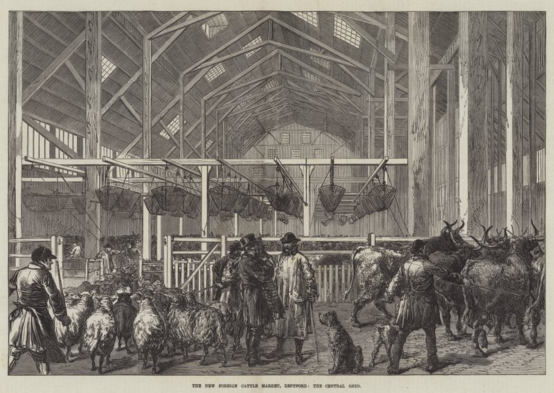 New Foreign Cattle Market, Deptford, Central Shed (kaiverrus) tekijältä English School