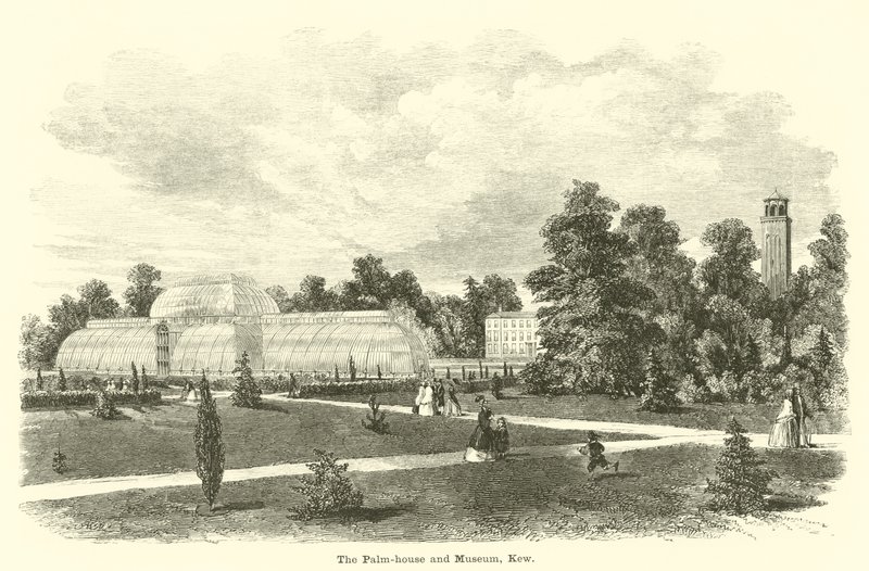 Palmutalo ja museo, Kew tekijältä English School
