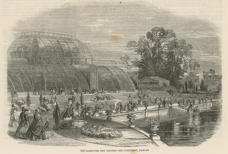 Palm House, Kew Gardens, Lontoo tekijältä English School