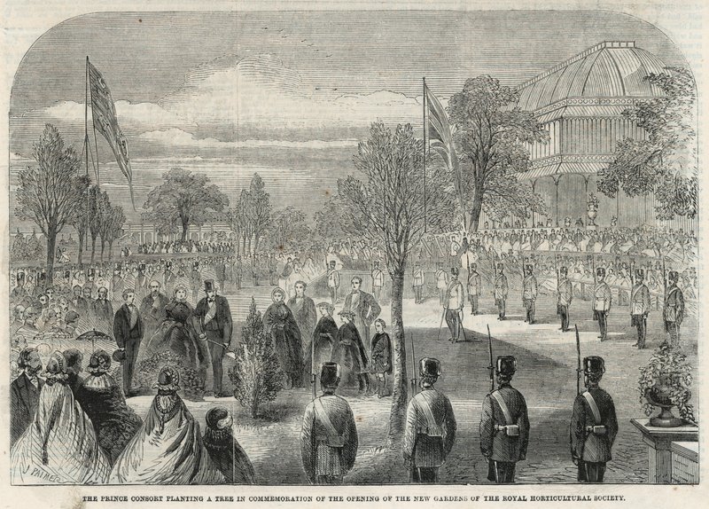 Prinssipuoliso istuttaa puun kuninkaallisen puutarhaseuran uusien puutarhojen avaamisen muistoksi tekijältä English School