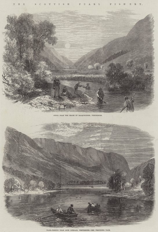 The Scottish Pearl Fishery (kaiverrus) tekijältä English School