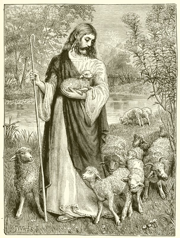 Paimen ja karitsat tekijältä English School