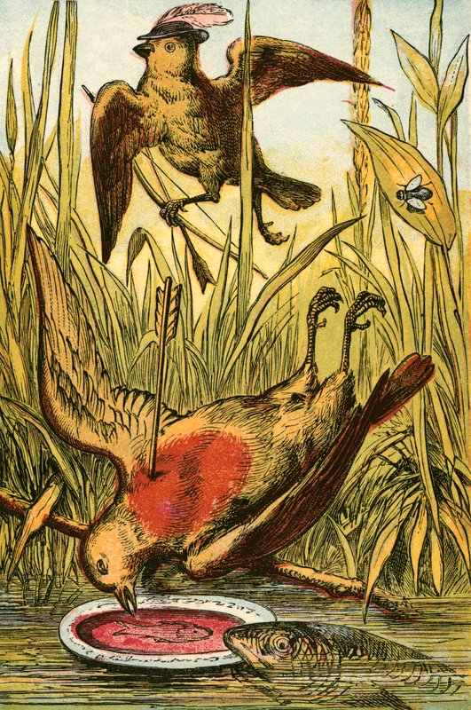 Sparrow, Cock Robin ja kala tekijältä English School