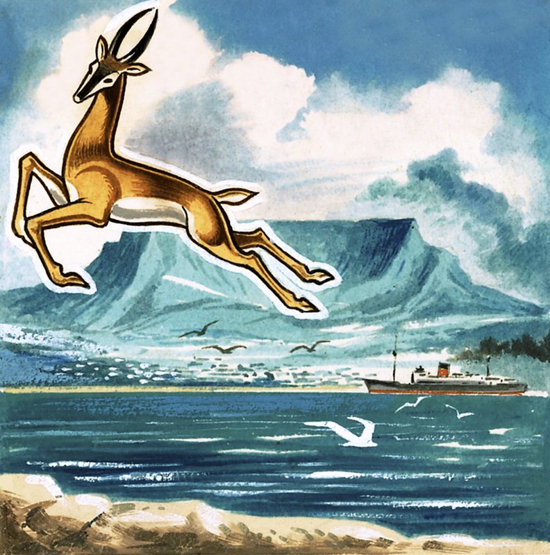 Springbok, Etelä-Afrikan tunnus tekijältä English School