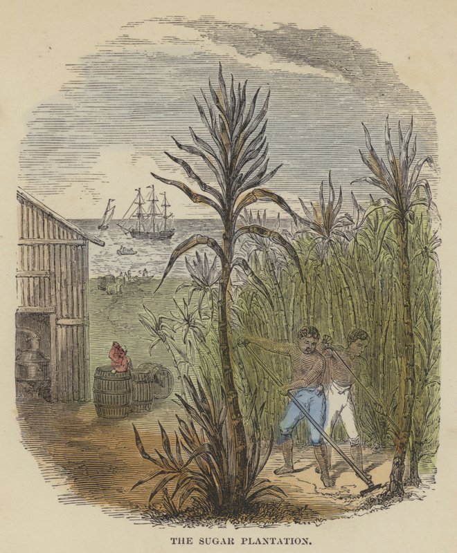 Sugar Plantation (värillinen kaiverrus) tekijältä English School