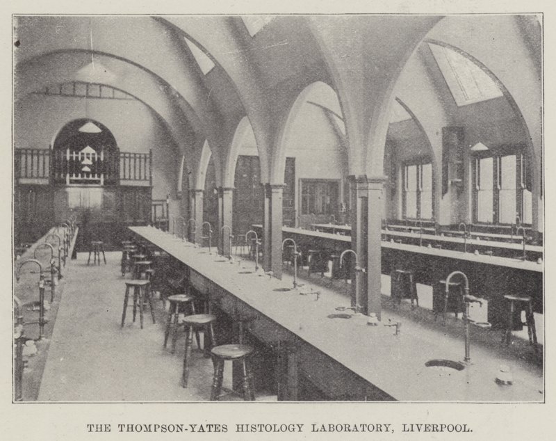 Thompson-Yates Histology Laboratory, Liverpool (kaiverrus) tekijältä English School