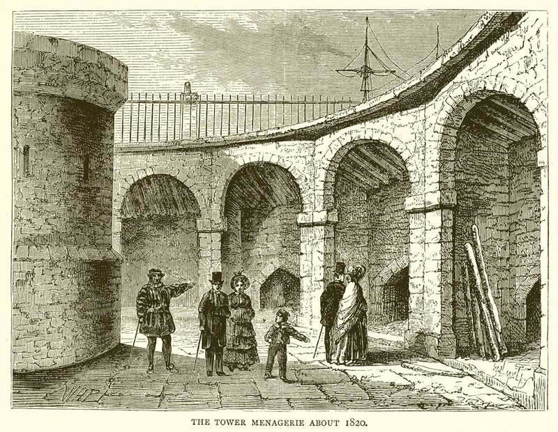 Tower Menagerie noin 1820 tekijältä English School