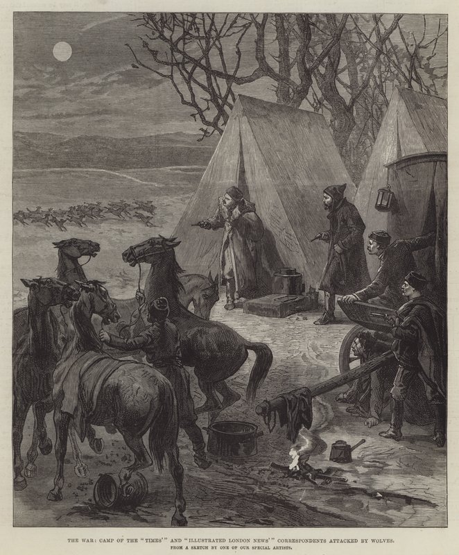 Sota, "Aikojen" leiri ja "Illustrated London News" -kirjeenvaihtajat hyökkäsivät susien kimppuun (kaiverrus) tekijältä English School