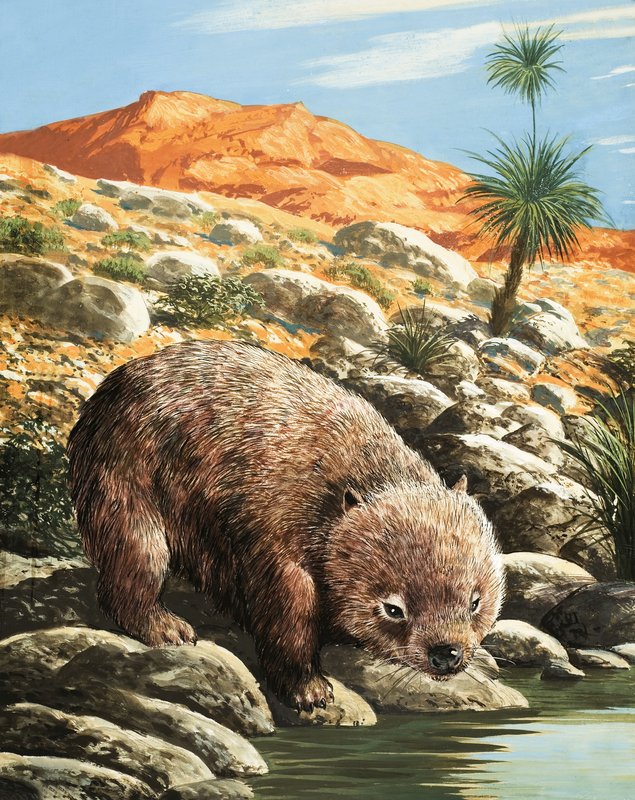 Wombat tekijältä English School