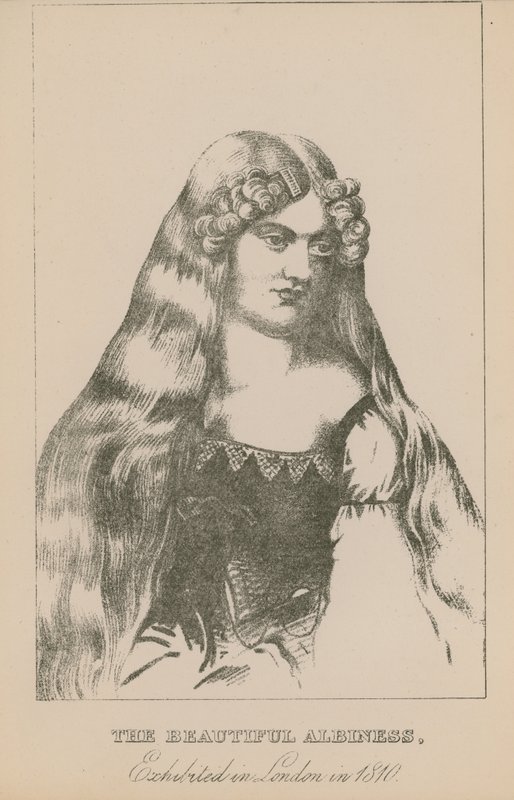 Kaunis albiness, esillä Lontoossa vuonna 1810 tekijältä English School