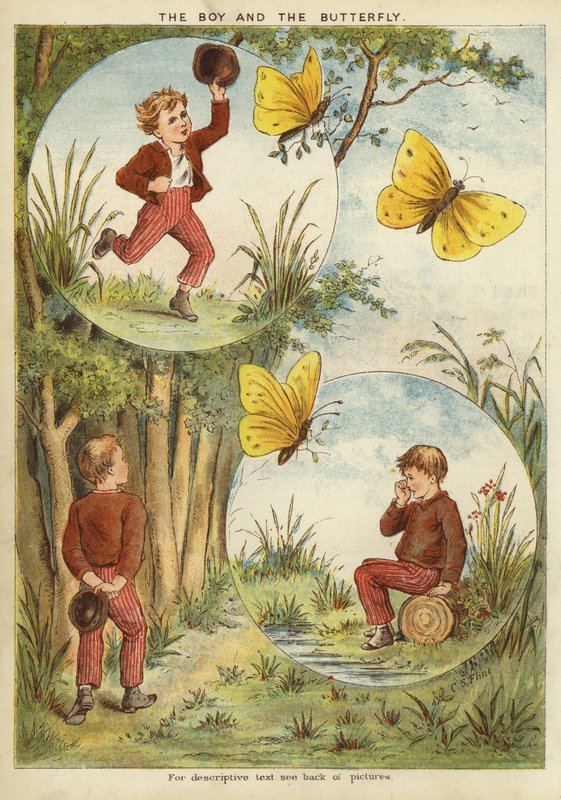 Poika ja perhonen (chromolitho) tekijältä English School