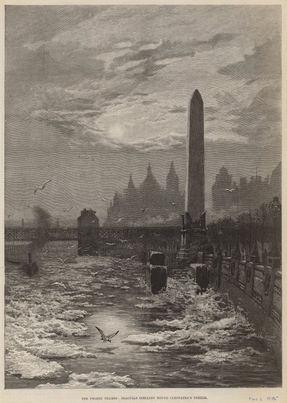 Jäätynyt Thames - lokit kiertävät Kleopatras-neulan ympärillä tekijältä English School