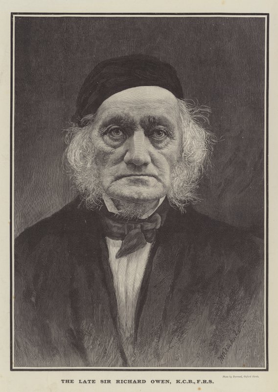 Edesmennyt Sir Richard Owen, KCB, FRS (kaiverrus) tekijältä English School