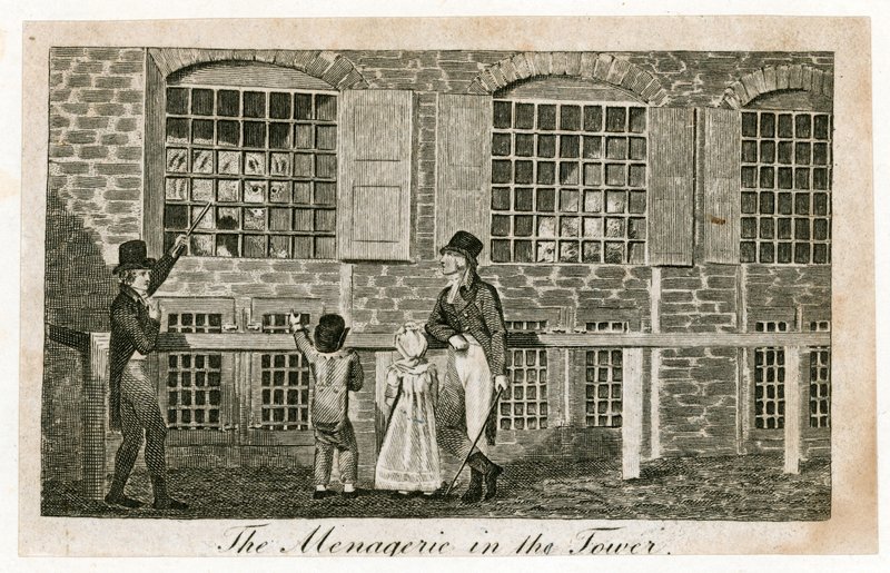 Lontoon Towerin eläintarha noin 1820 tekijältä English School