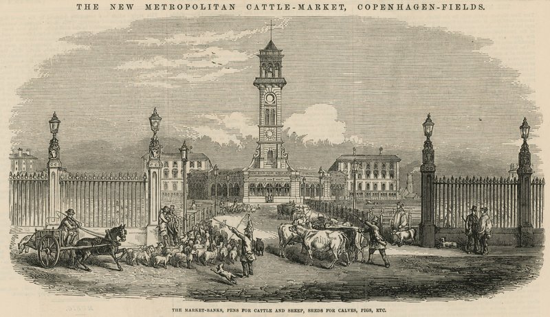 Uusi Metropolitan Cattle Market, Copenhagen Fields tekijältä English School