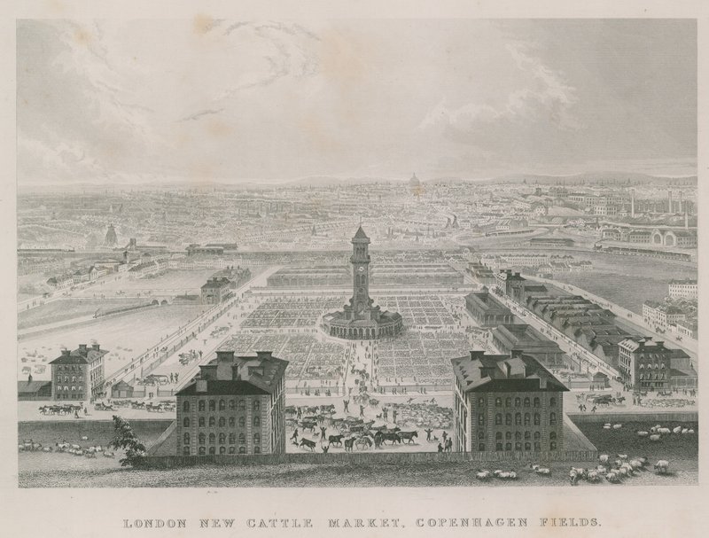 Uusi Metropolitan Cattle Market, Copenhagen Fields, Lontoo tekijältä English School