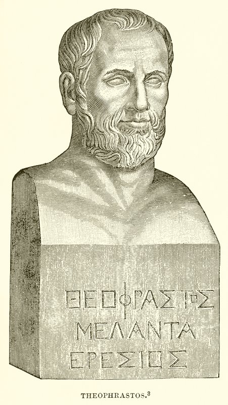Theophrastos tekijältä English School