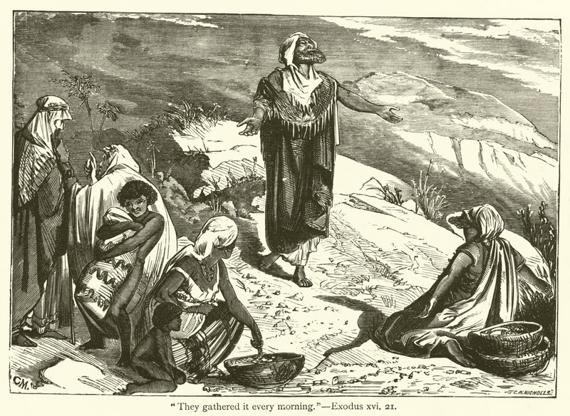 "He kokosivat sen joka aamu", Exodus, xvi, 21 (kaiverrus) tekijältä English School