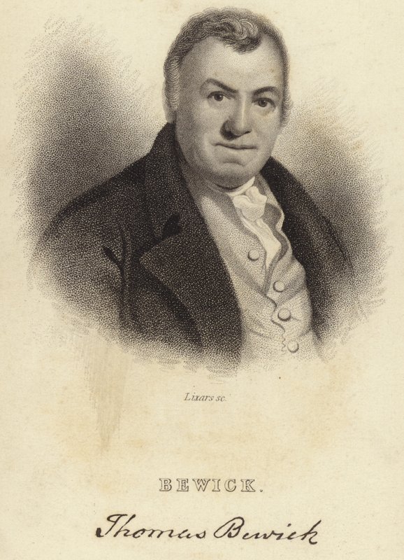 Thomas Bewick tekijältä English School