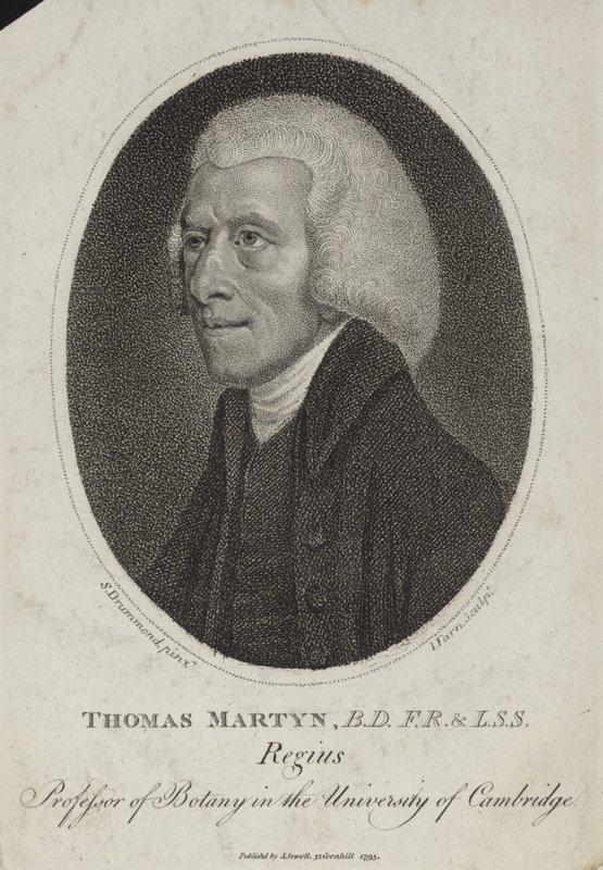 Thomas Martyn tekijältä English School