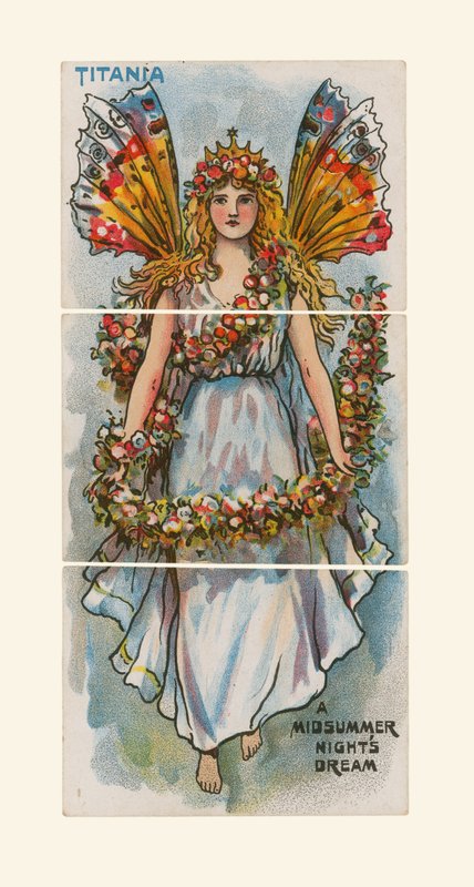 Titania, Kesäyön unelma tekijältä English School
