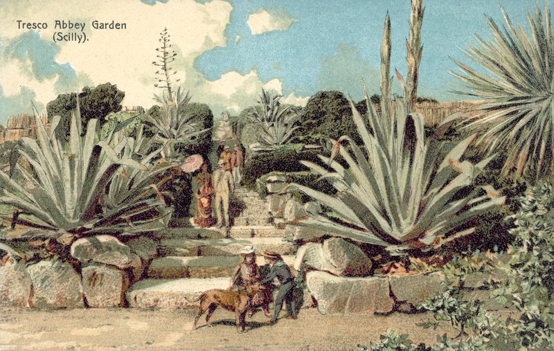 Tresco Abbey Garden, Scilly Isles, Cornwall (värilitho) tekijältä English School