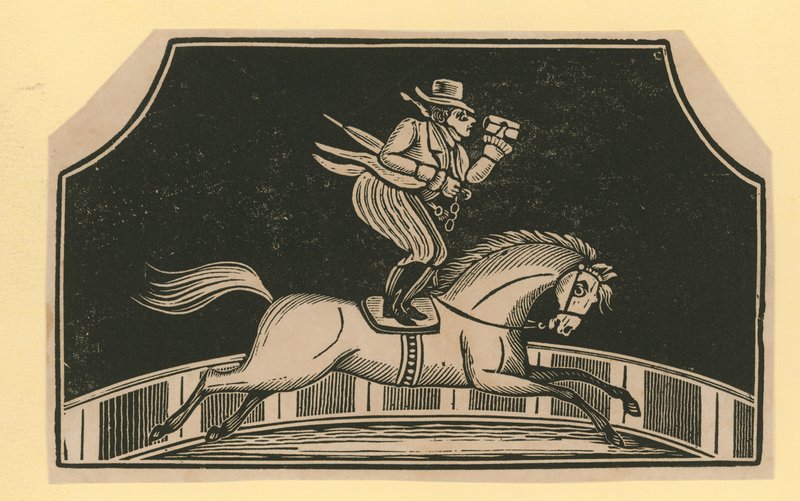 Nimetön sirkuskohtaus: Horse Rider tekijältä English School