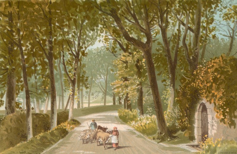 Vinchelez Lane - Jersey tekijältä English School