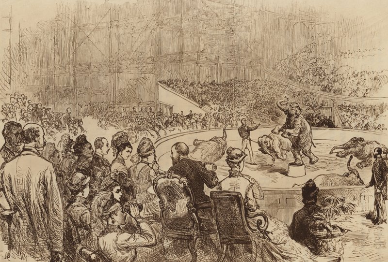 Walesin prinssin ja prinsessan sekä Kreikan kuninkaan ja kuningattaren vierailu 1876 tekijältä English School
