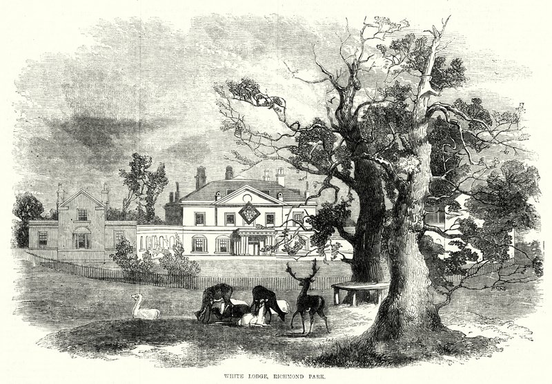 White Lodge, Richmond Park (kaiverrus) tekijältä English School