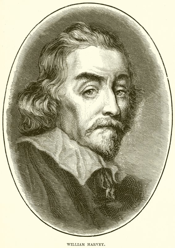 William Harvey tekijältä English School