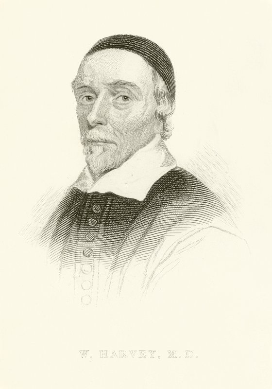 William Harvey tekijältä English School