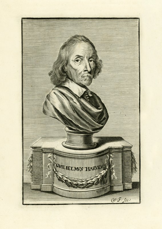 William Harvey tekijältä English School