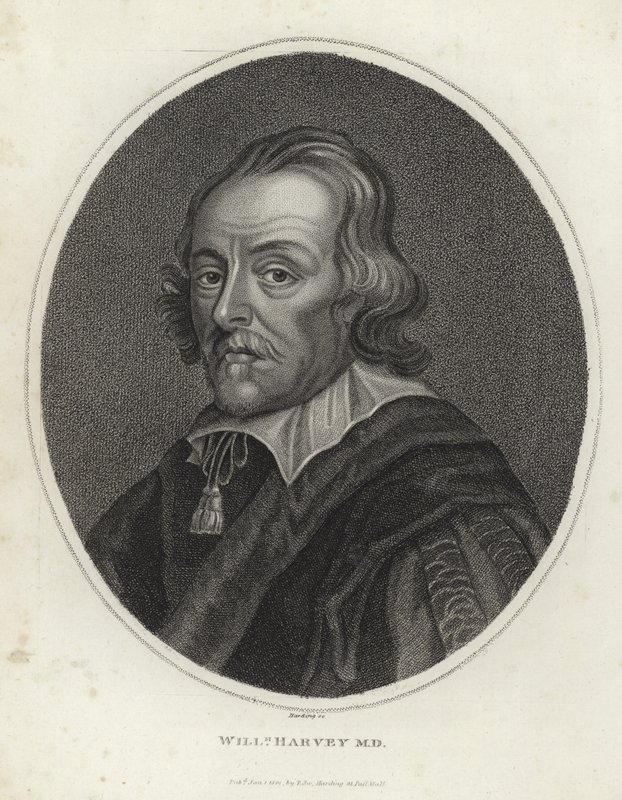 William Harvey tekijältä English School