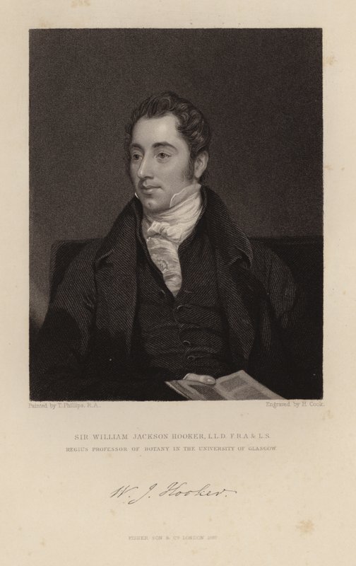 William Jackson Hooker tekijältä English School