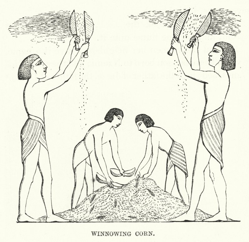 Winnowing Corn (kaiverrus) tekijältä English School