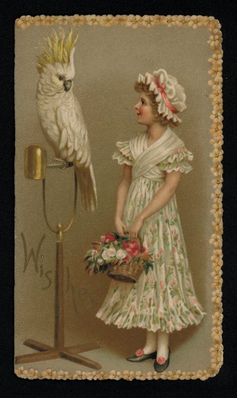Nuori nainen valkoisen kakadun kanssa, onnittelukortti. (chromolitho) tekijältä English School