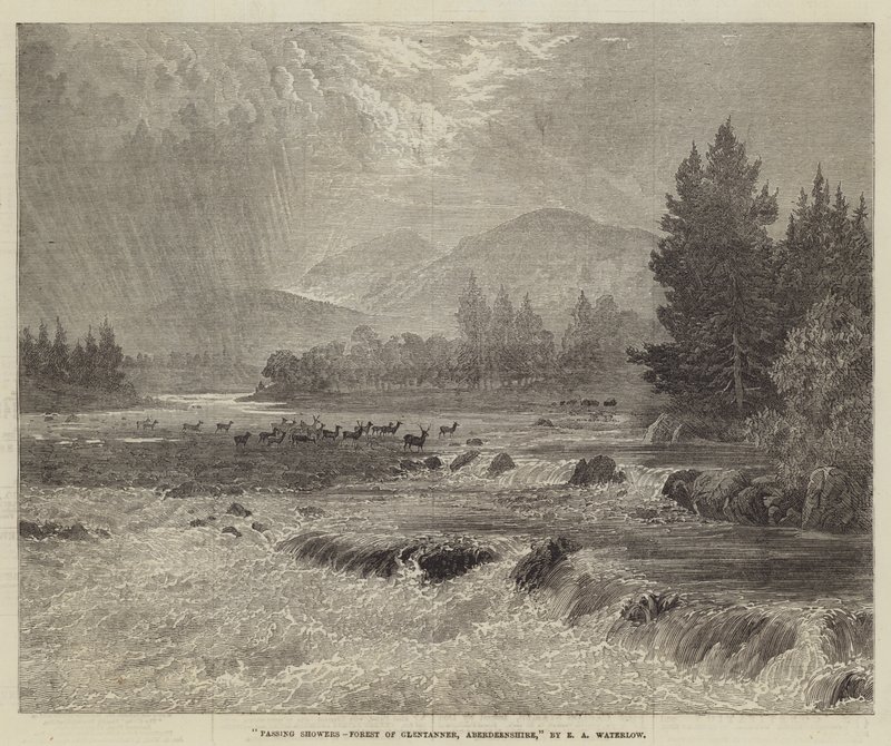 Ohikiitävät suihkut, Forest of Glentanner, Aberdeenshire tekijältä Ernest Albert Waterlow