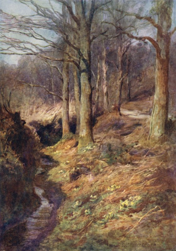 Kun kevät herää metsässä tekijältä Ernest Benger or Berenger