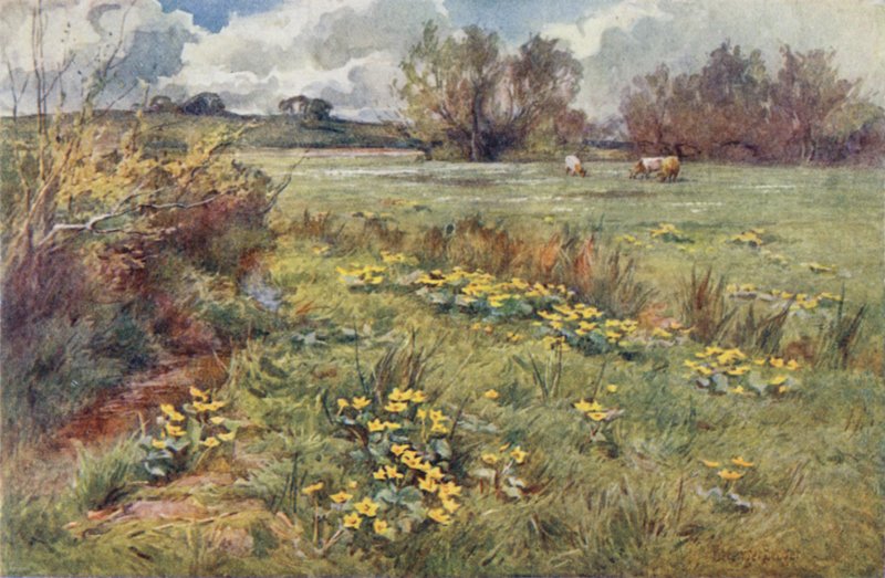 Pathless Fields tekijältä Ernest Benger or Berenger