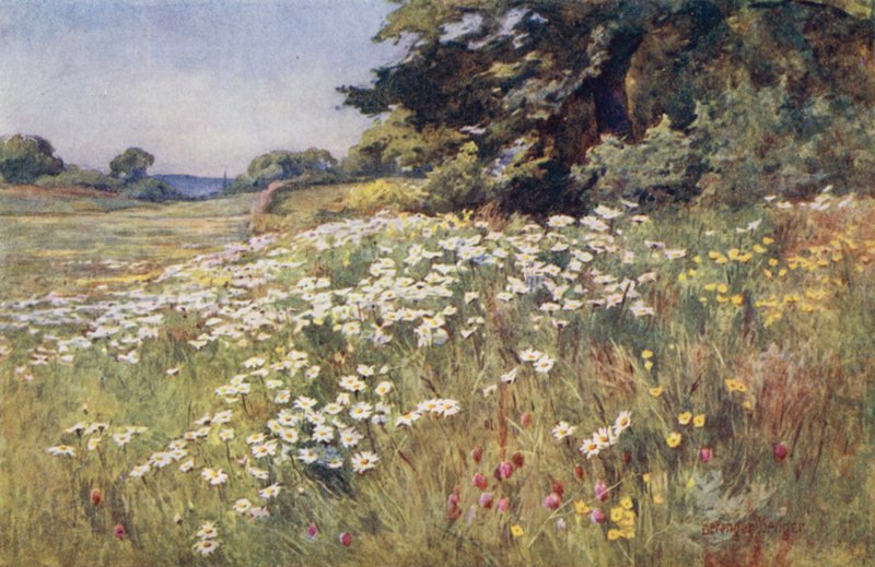 Auringonpaiste Meadowlandissa tekijältä Ernest Benger or Berenger