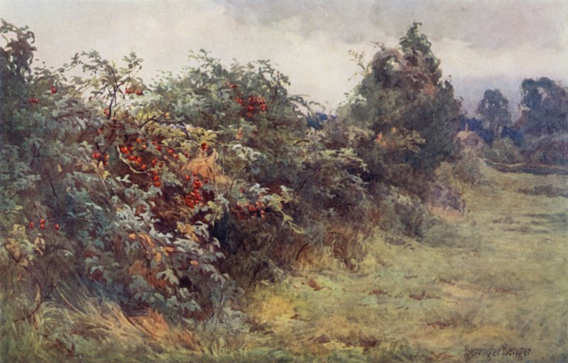 Kypsyyden ilmestys tekijältä Ernest Benger or Berenger